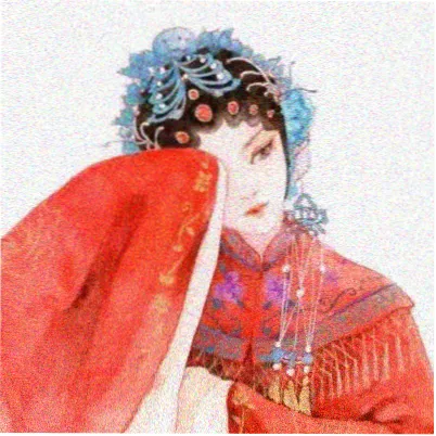读者头像 白鸟过境